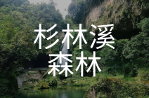 杉林溪森林