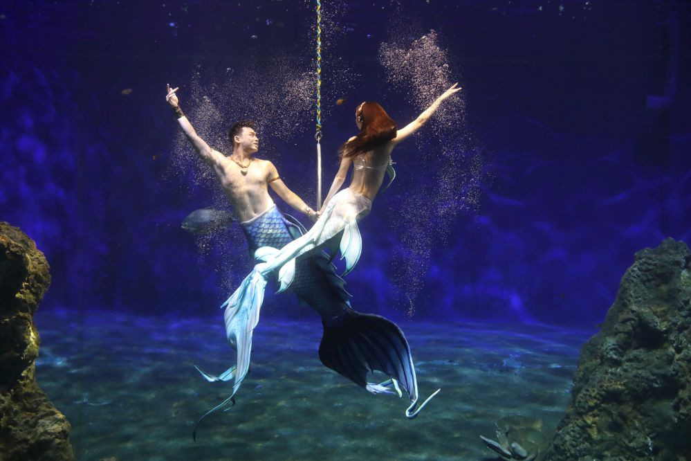 遠雄海洋公園全台唯一水下劇場再升級 準備5/24舉辦亞洲六國美人魚競藝