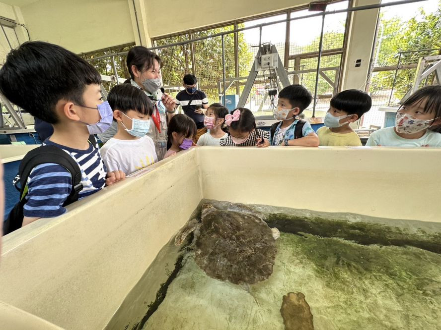 夜宿海生館2025全新「後場揭密」走進水族實驗中心探訪海龜 和維格餅家聯名跟著鯊寶夜宿海生館