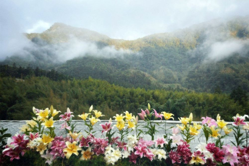中秋、雙十、光復節連假 阿里山賓館全包式「鄒年慶部落探索」專案 每人9300元起
