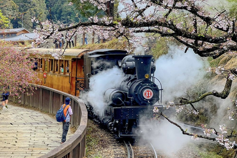 阿里山蒸汽火車賞櫻2/25開放訂位 阿里山賓館主題房專案迎賓