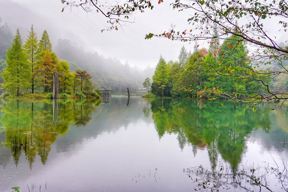 力麗馬告生態園區秋冬三部曲：雙湯森旅、武陵賞櫻、香氛鍋物  邀您品味季節之美